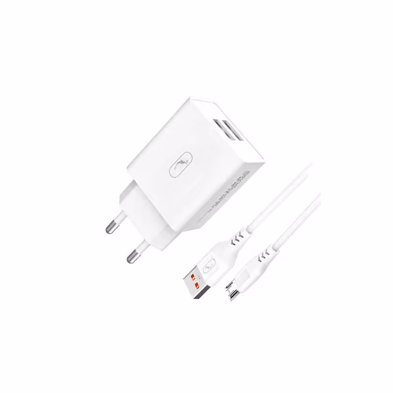 Chargeur SKY DOLPHIN SC30V Double Ports USB + Câble Micro-USB
