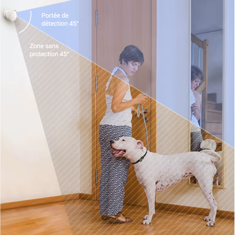 Détecteur De Mouvement PIR EZVIZ T1C 5