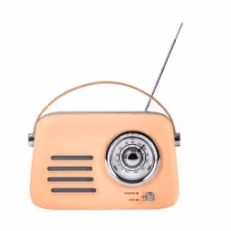 Haut-parleur Portable Best Sound T10 AVEC FM - Marron