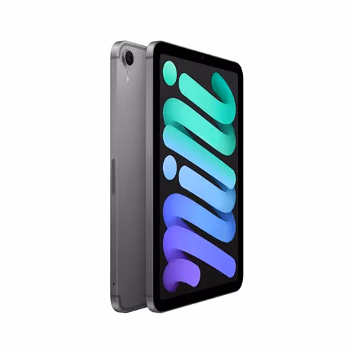 Apple - iPad Mini 8,3" 128Go 7éme Génération 2024 - Gris Sidéral 5